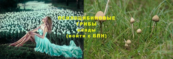 СК Белокуриха