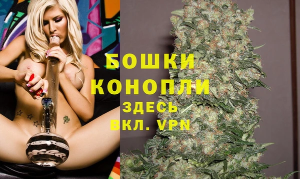 СК Белокуриха