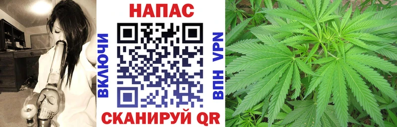Каннабис семена Кизляр